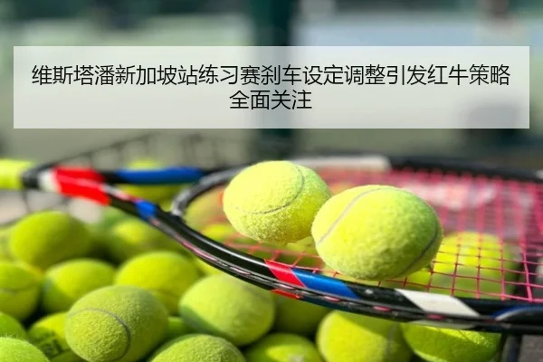 维斯塔潘新加坡站练习赛刹车设定调整引发红牛策略全面关注
